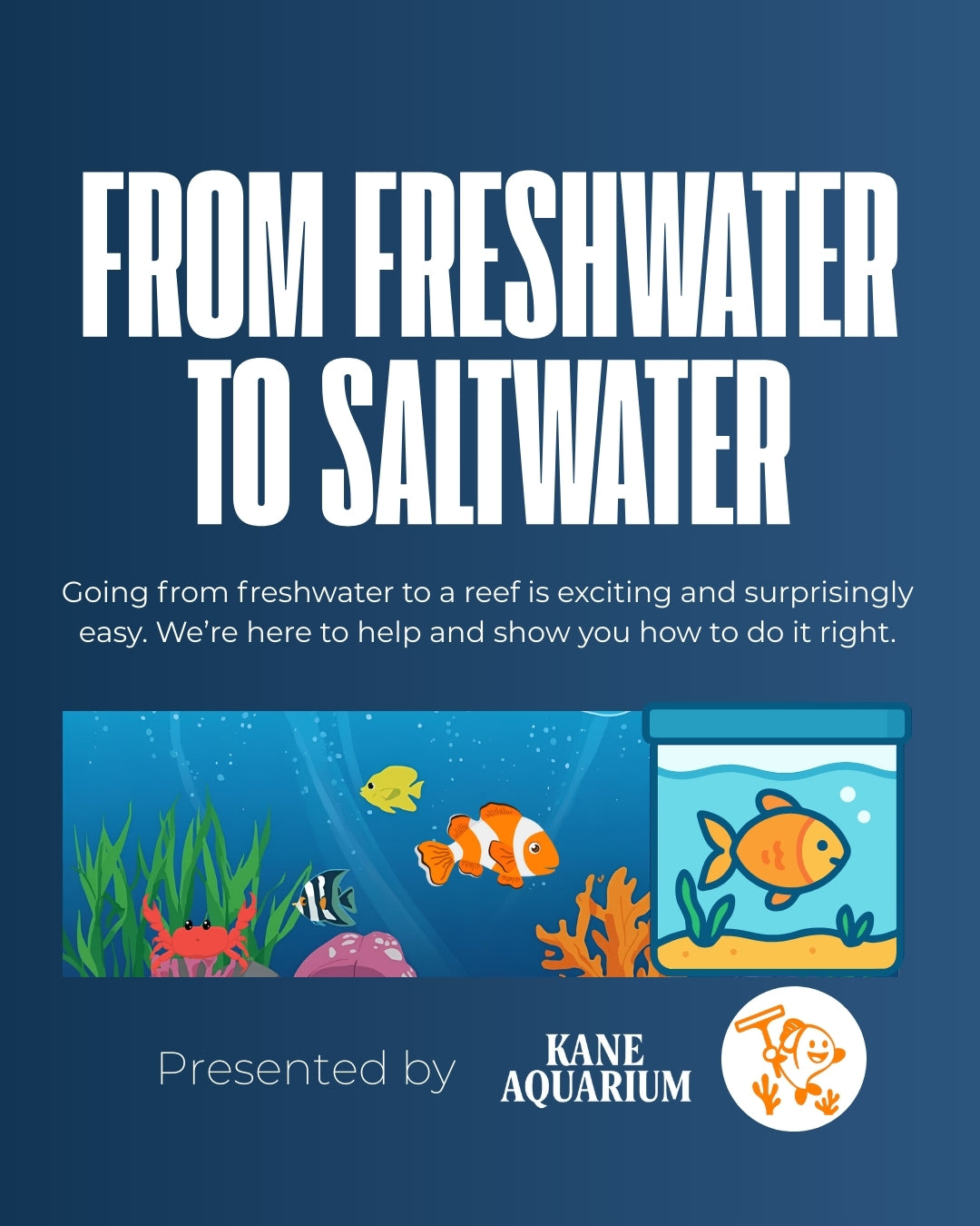 From Freshwater Aquarium to Saltwater Tank: Easier Than You Think!
