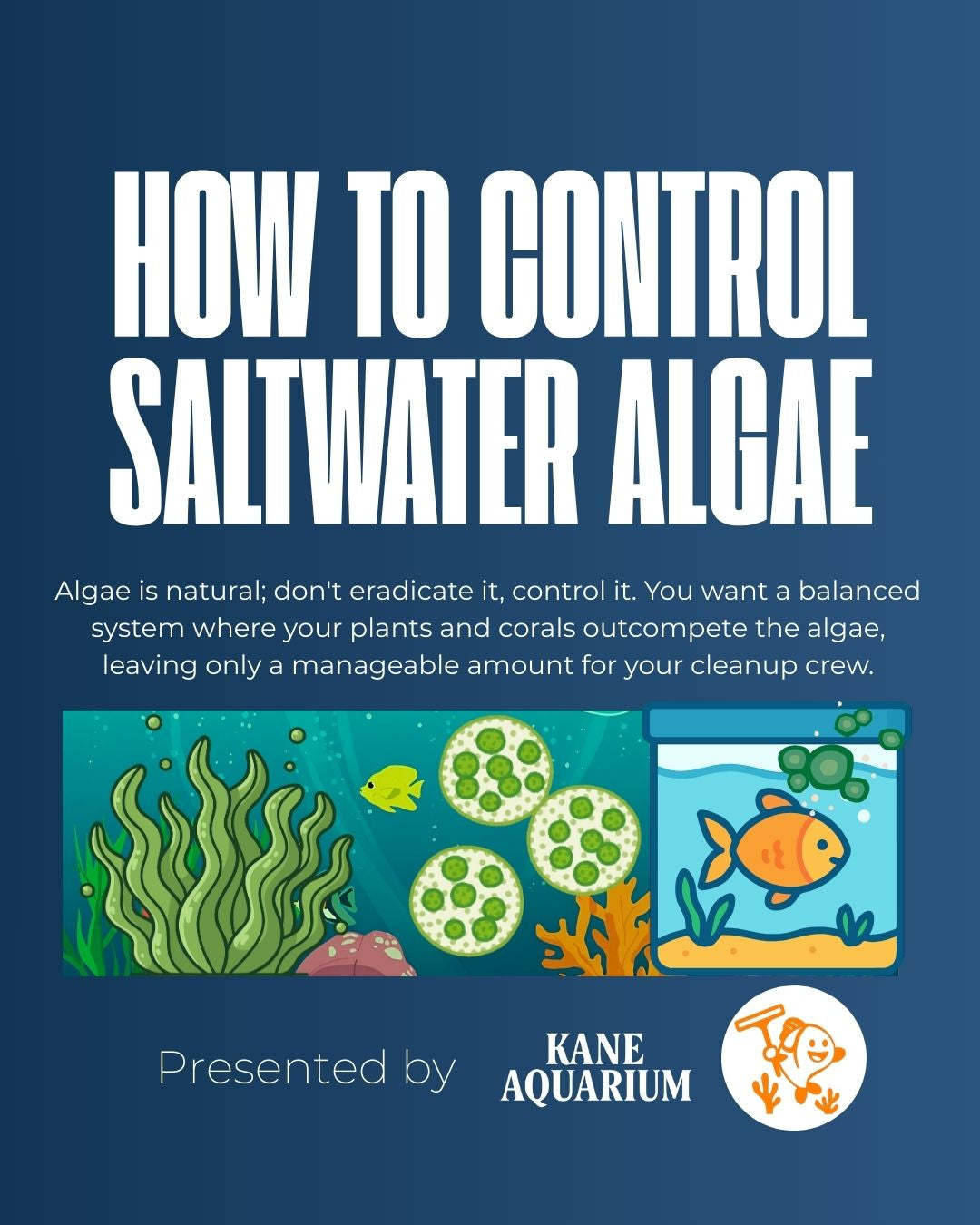 Mastering Saltwater Algae: A Definitive Guide to Identification, Causes, and Real-World Solutions