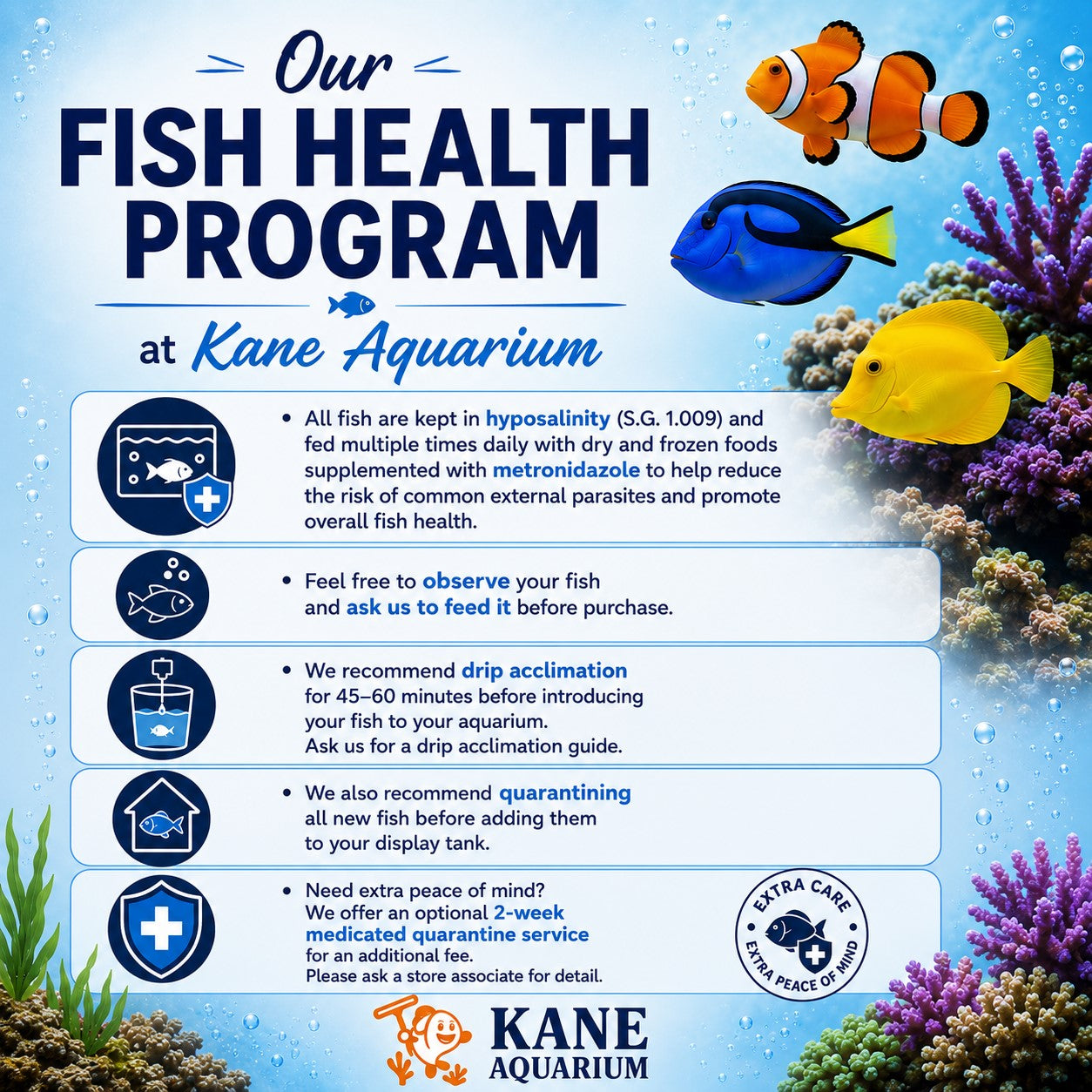 Our Fish Health Program: How Kane Aquarium Helps Every Fish Thrive