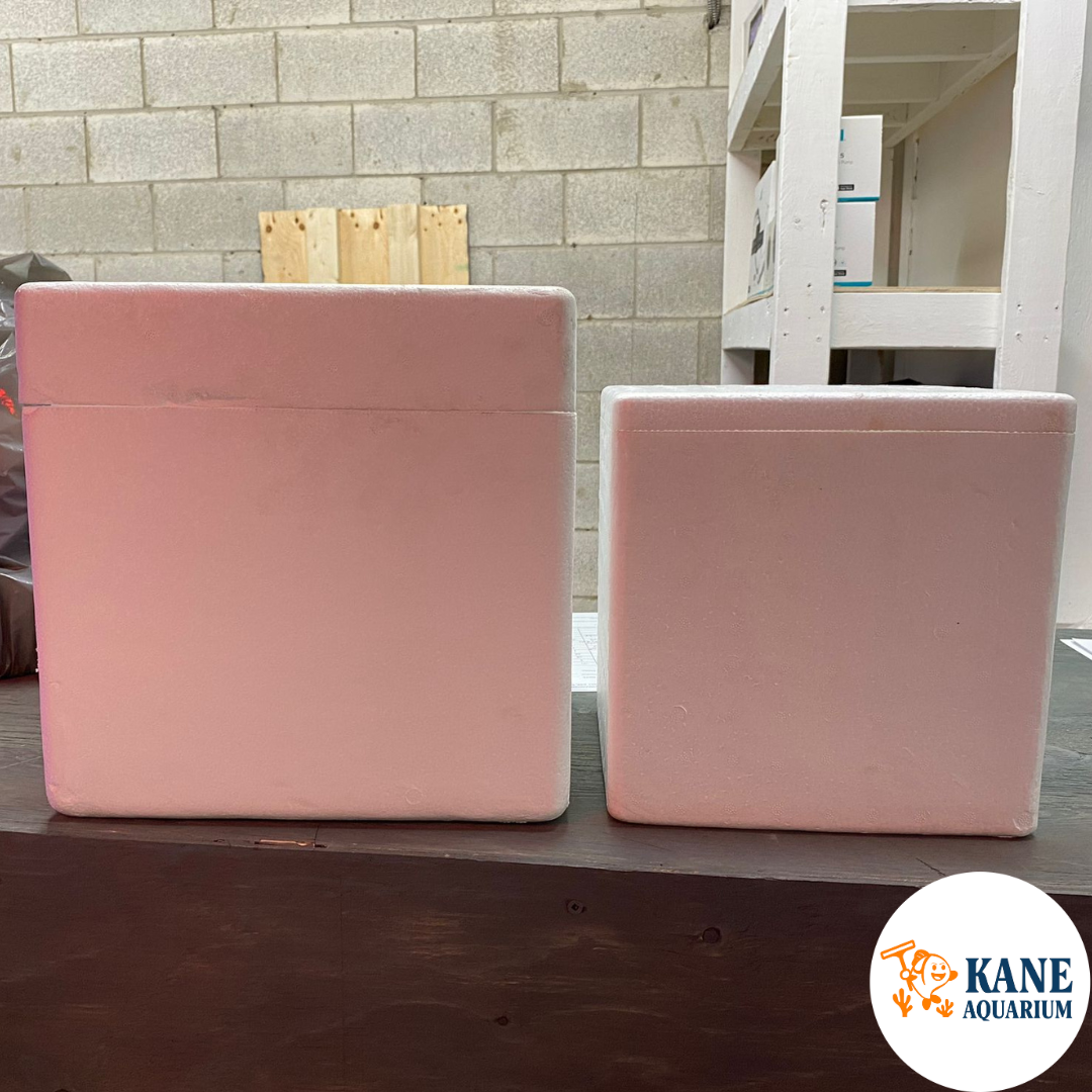Shipping Insulated Boxes (2 Sizes)