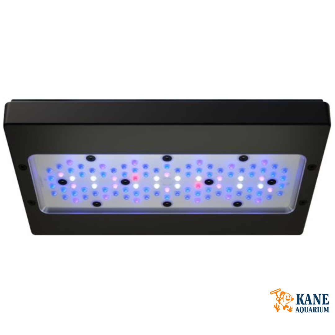 Radion G6 XR30 Blue
