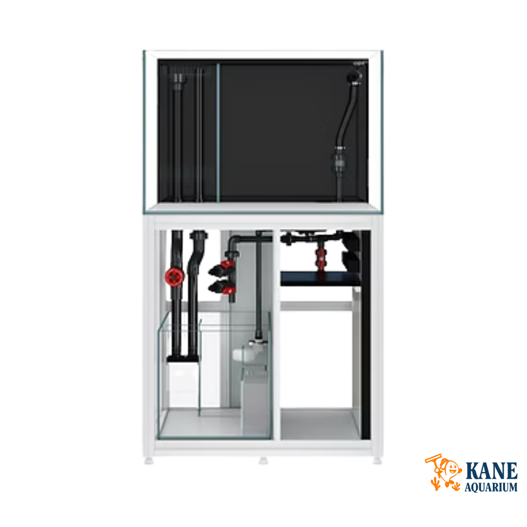 Cade Reef S2 900 White - 86g