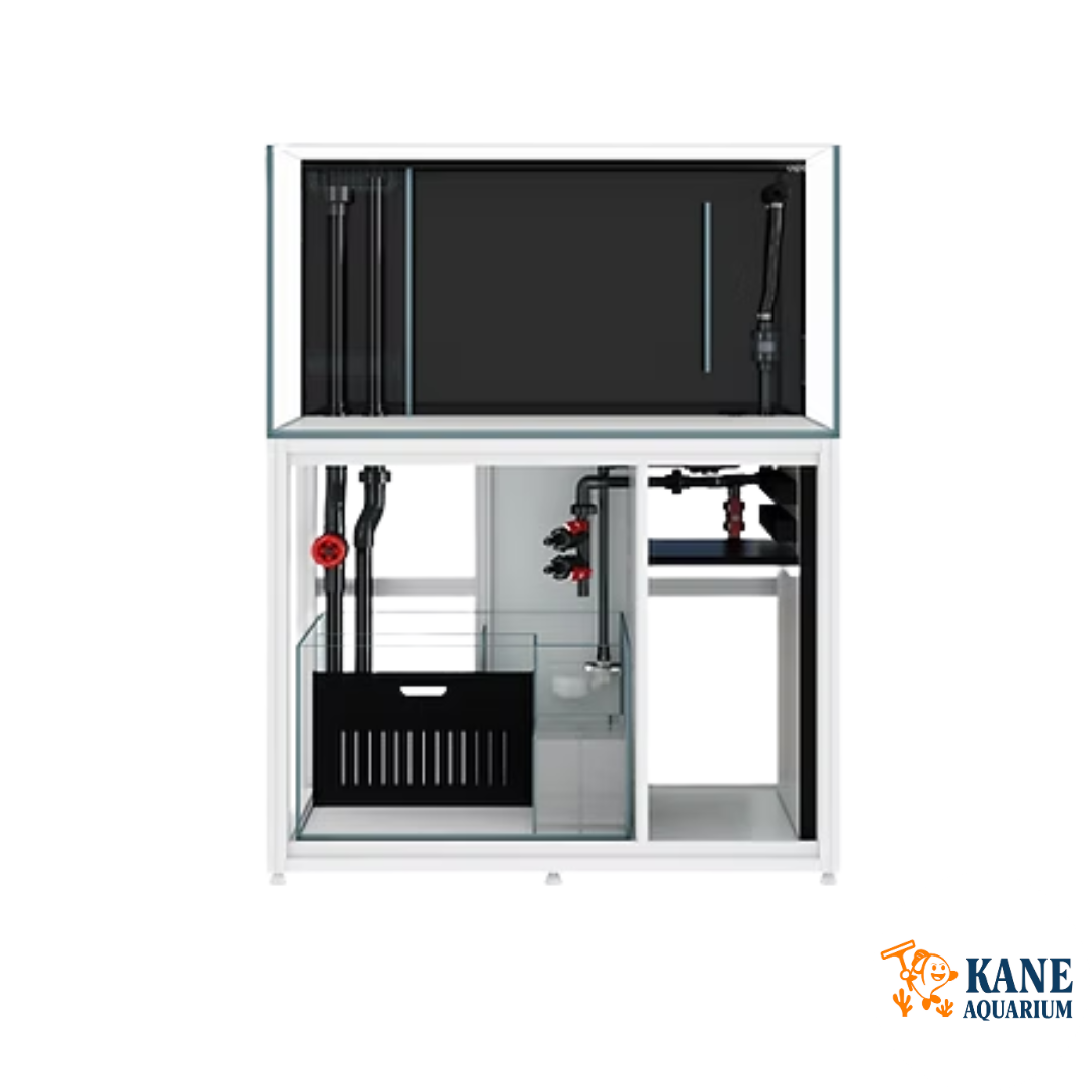 Cade Reef S2 1200 White