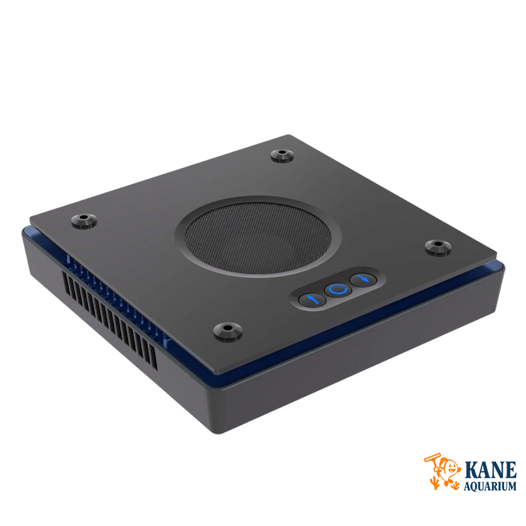 Radion XR15 G6 Blue