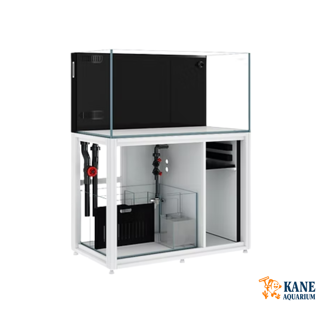 Cade Reef S2 900 White - 86g