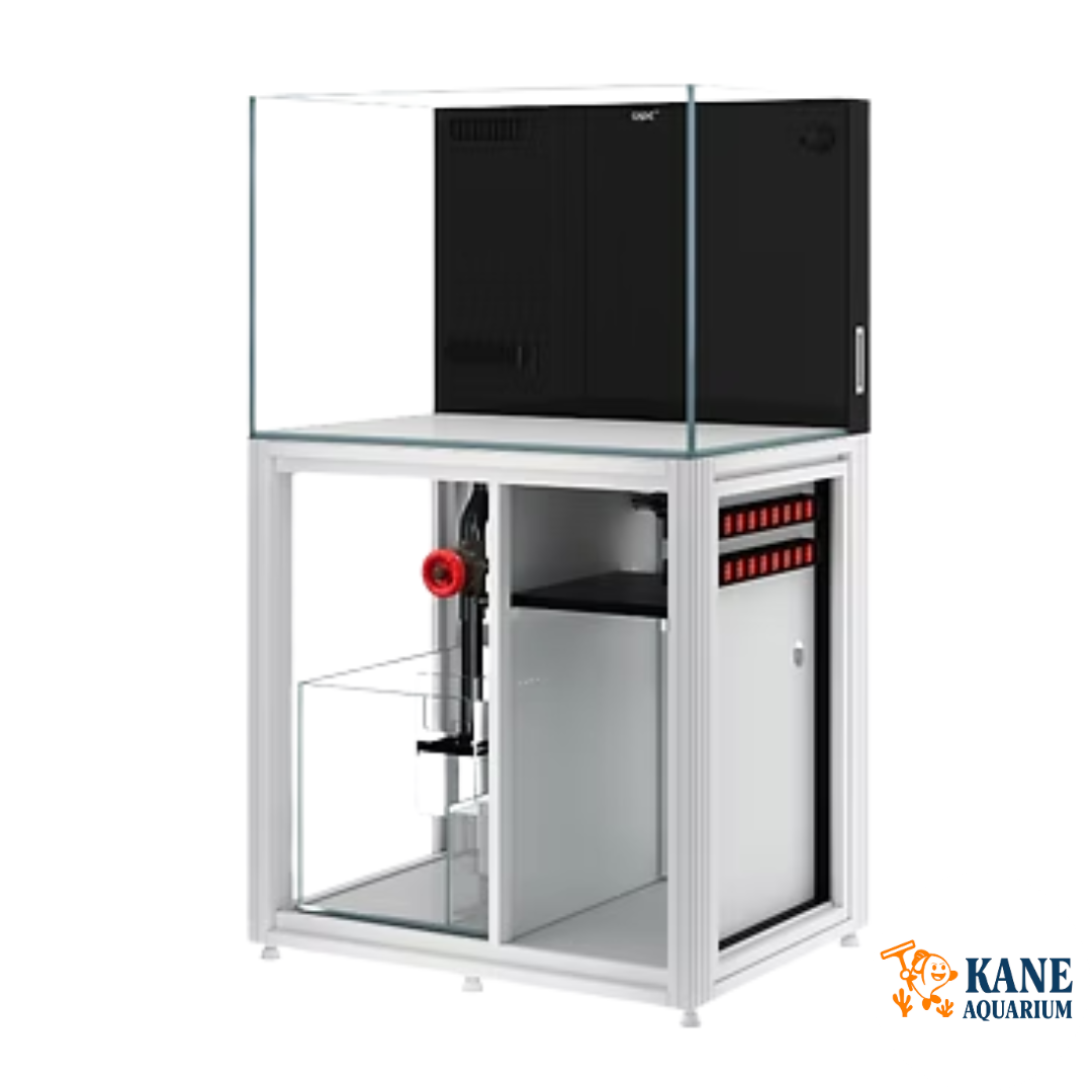 Cade Reef S2 900 White - 86g