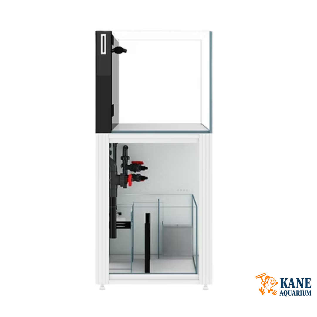 Cade Reef S2 1200 White