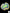 B92 - Yellow Trachyphyllia with green mouth
