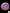 B10 - Acanthophyllia Donut Purple with green skirt
