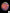 B17 - Acanthophyllia Donut Orange/Blue/Green Stripes