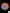 B22 - Acanthophyllia Donut Rare half striped Orange and baby blue