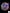 B23 - Acanthophyllia donut Blue/green with Orange Stripes