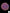 B26 - Acanthophyllia with Pink Sparkles