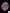 B40 - Acanthophyllia Donut Blue/green with Orange Stripes