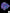 B42 - Acanthophyllia Donut Purple with green spots