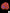B47 - Wellsophyllia Blood red with baby blue center