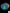 B56 - Acanthastrea Colony Rainbow