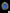 B6 - Acanthophyllia Donut Gold with Blue center