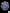 B77 - Trachyphyllia Rainbow