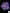 B79 - Purple Cynarina with green mouth