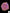 B8 - Acanthophyllia Donut Pink with gold sparkles