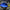 Blue Hippo Tang S image 0