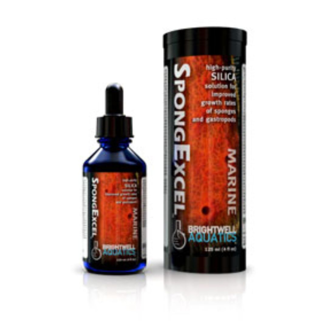 Brightwell Aquatics SpongExcel