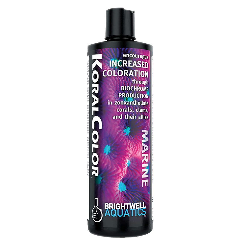 Brightwell Koral Color