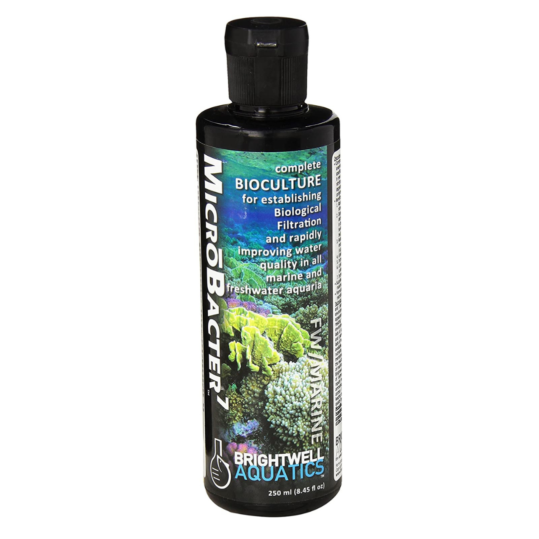 Brightwell Microbacter7