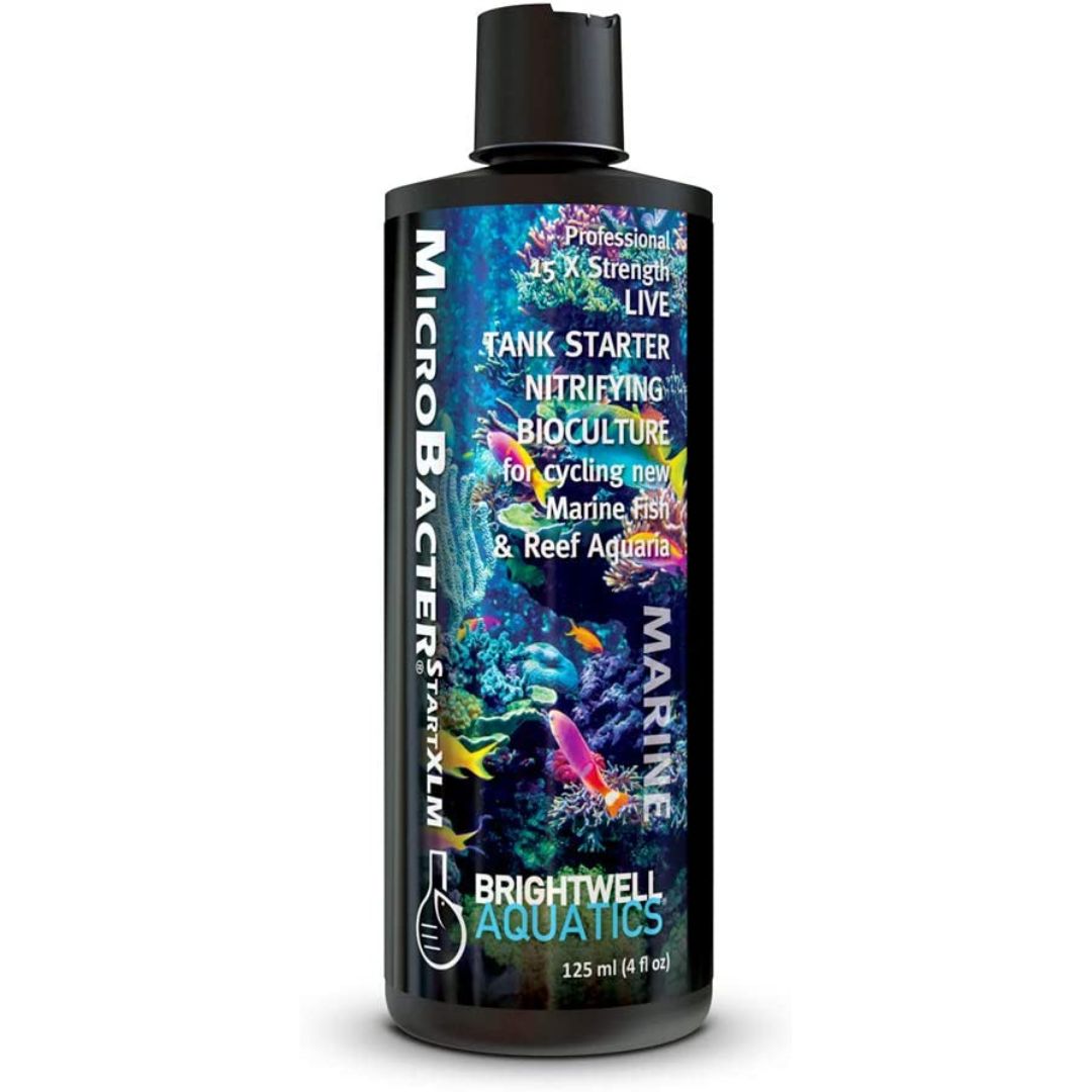 Brightwell Microbacter Start Xlm