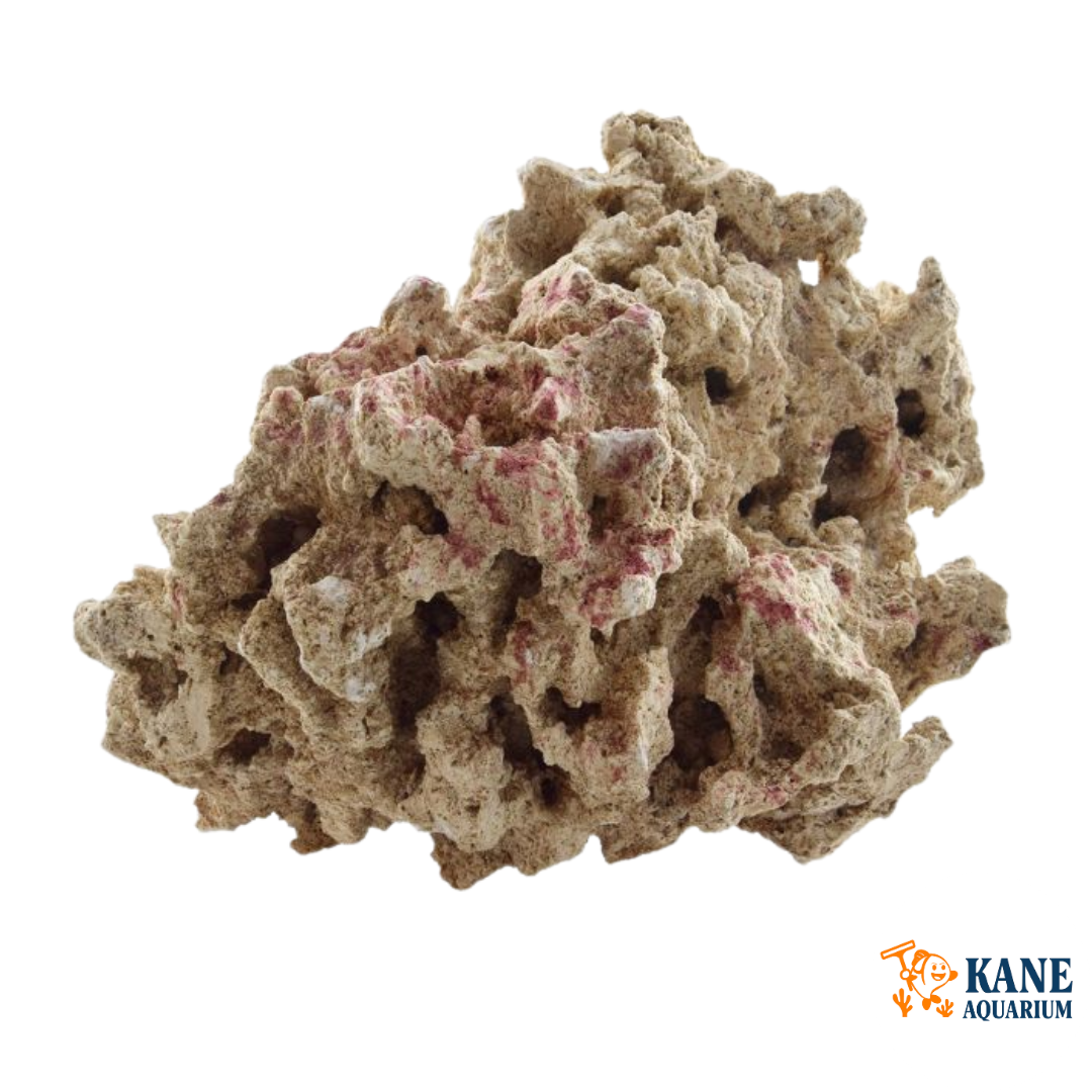 MOANI DRY LIVE ROCK - By the pound