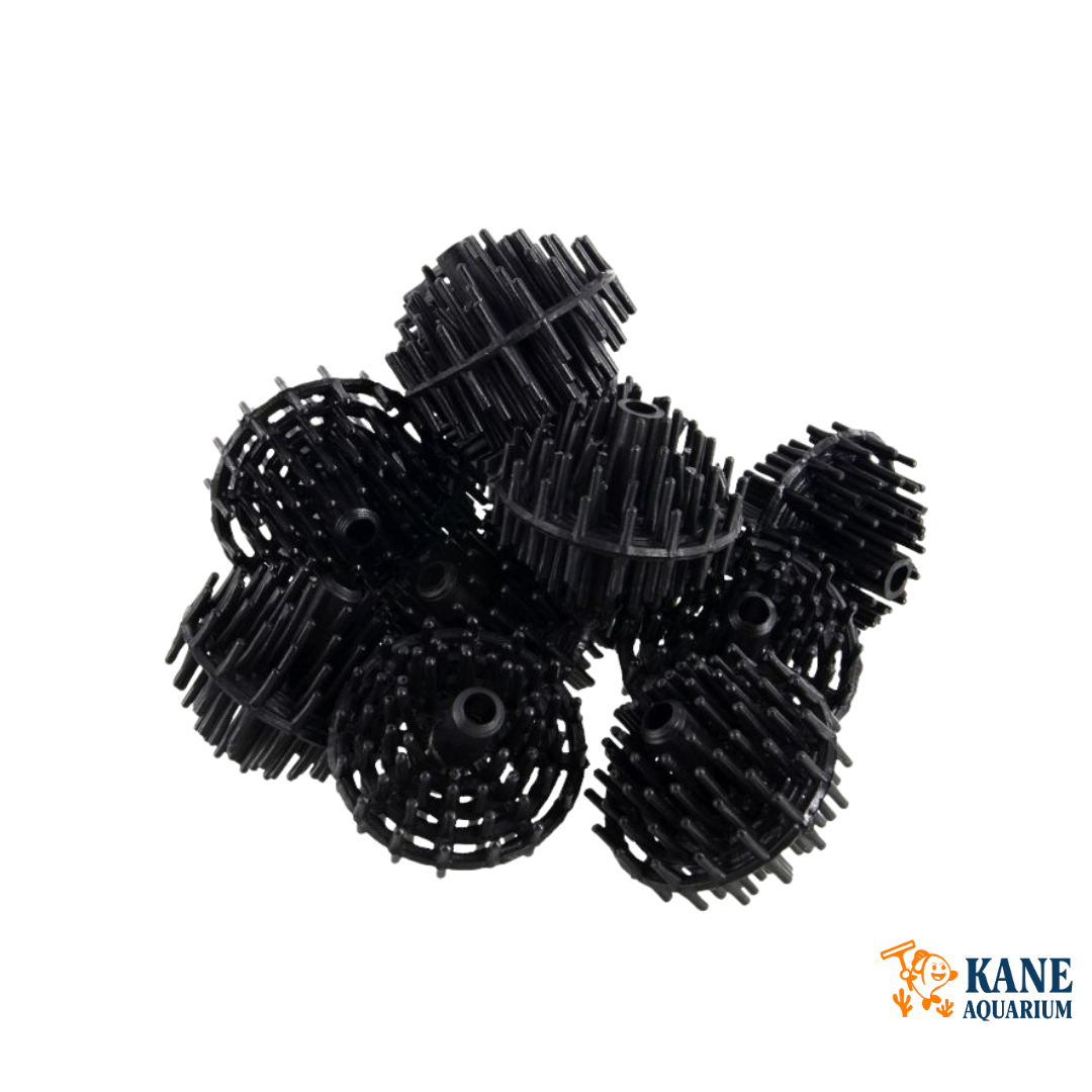 Seapora Bio Balls (25-300pcs)