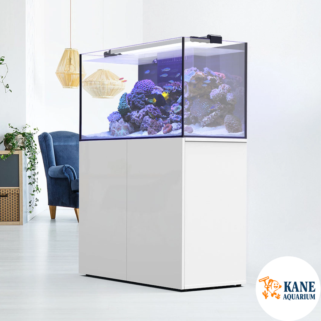 Aquatlantis AquaView 120 With Kit - White - 73 gal