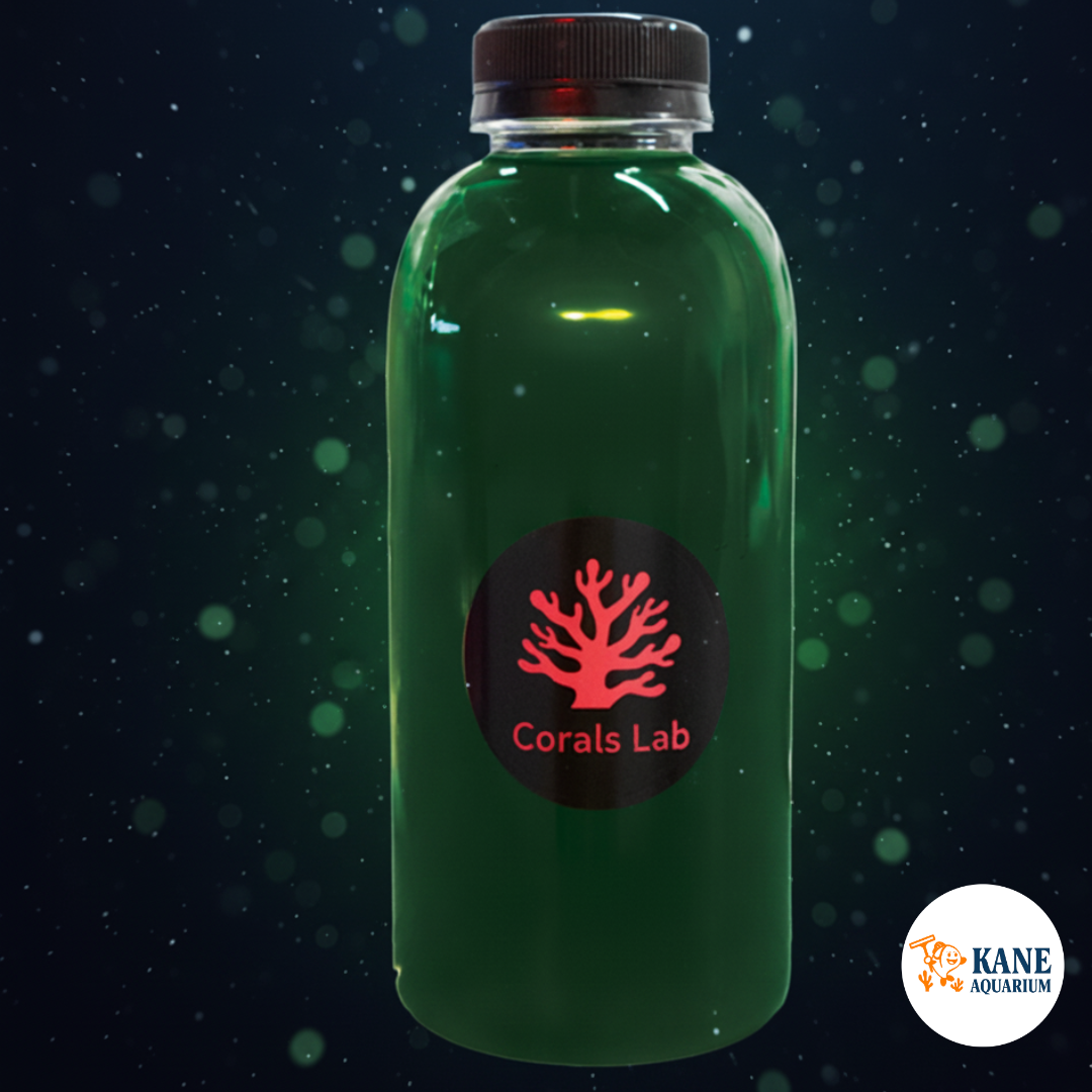 Live Phytoplankton (Corals Lab)