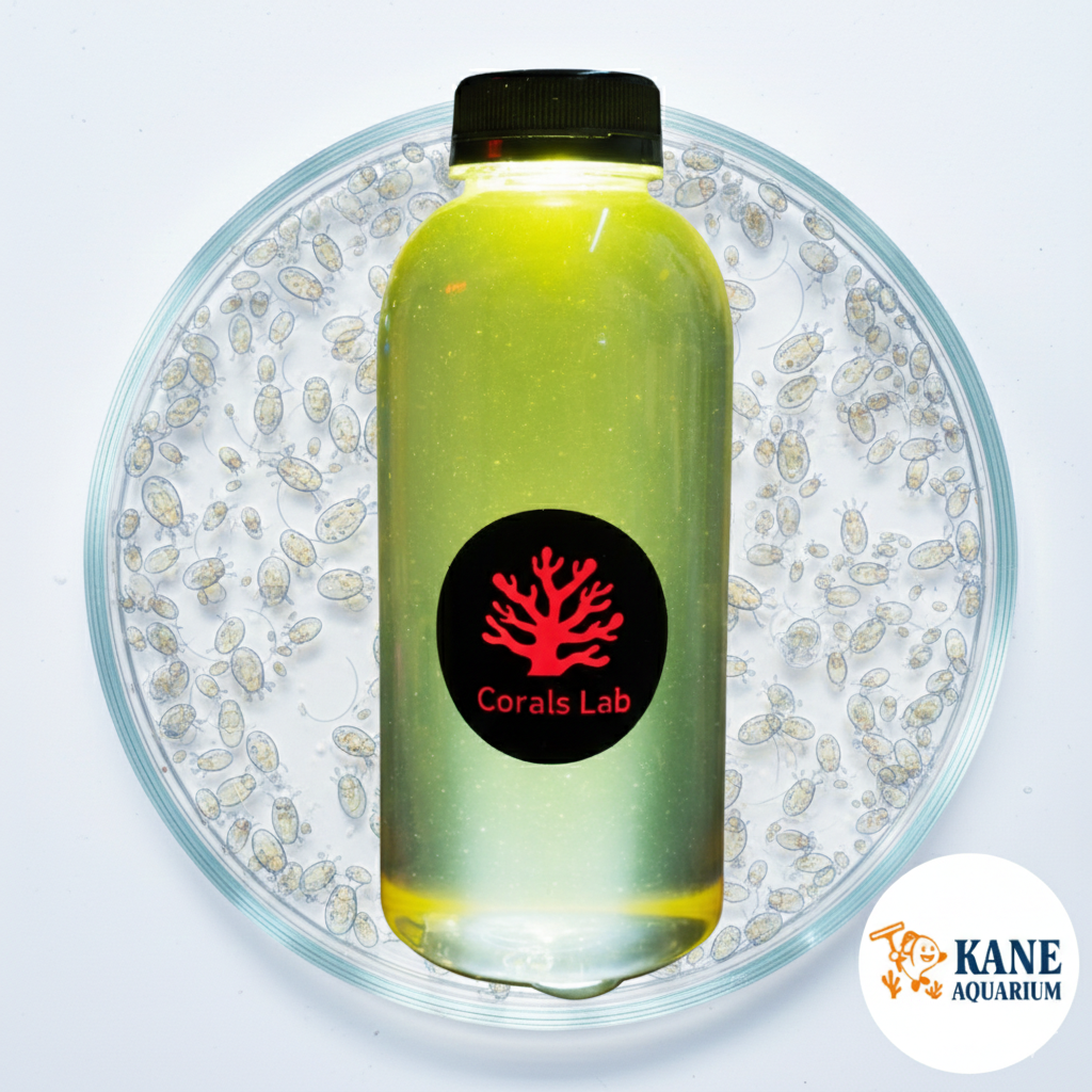 Corals Lab - Live Rotifers