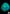 A25 - Green and Blue Acanthophyllia image 0