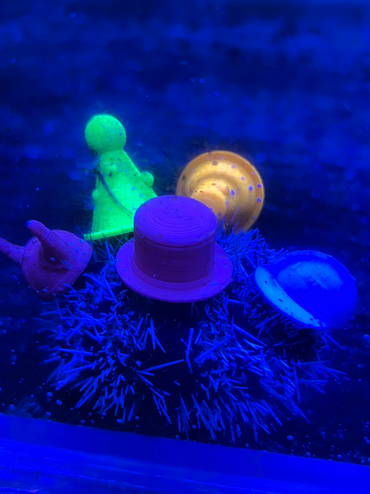 3D Print - Urchin Hats