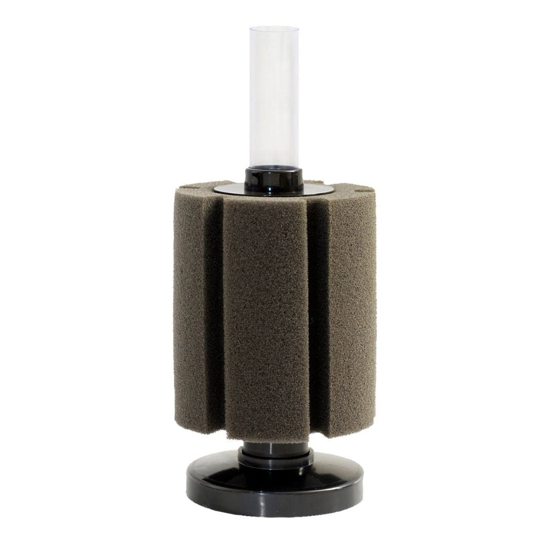Ista Bio-Sponge Filter – Kane Aquarium