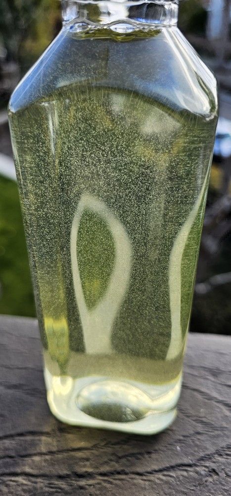 Zooplankton (Mix of Copepods)