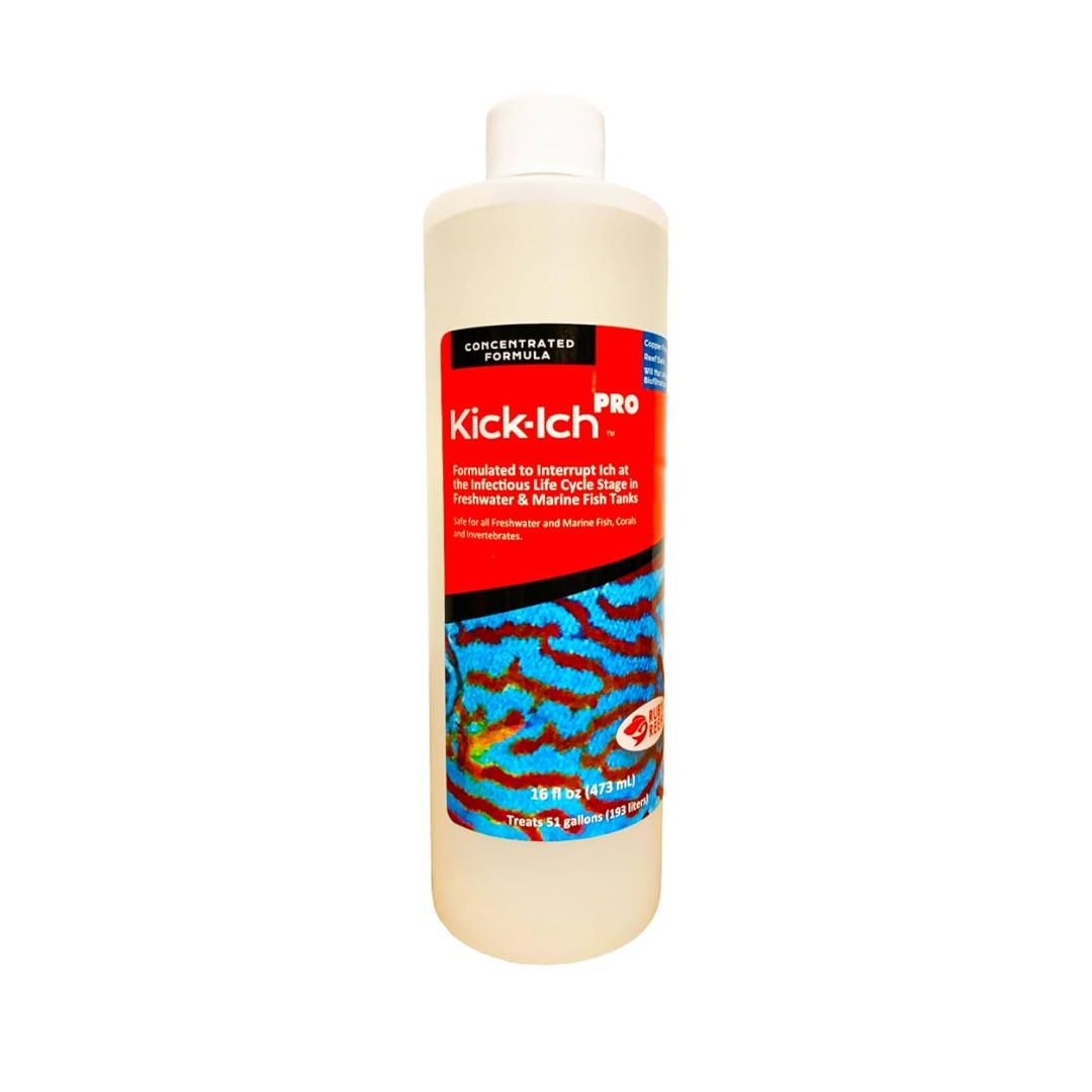 Rugby Reef Ruby Reef Kick-Ich Pro – Kane Aquarium