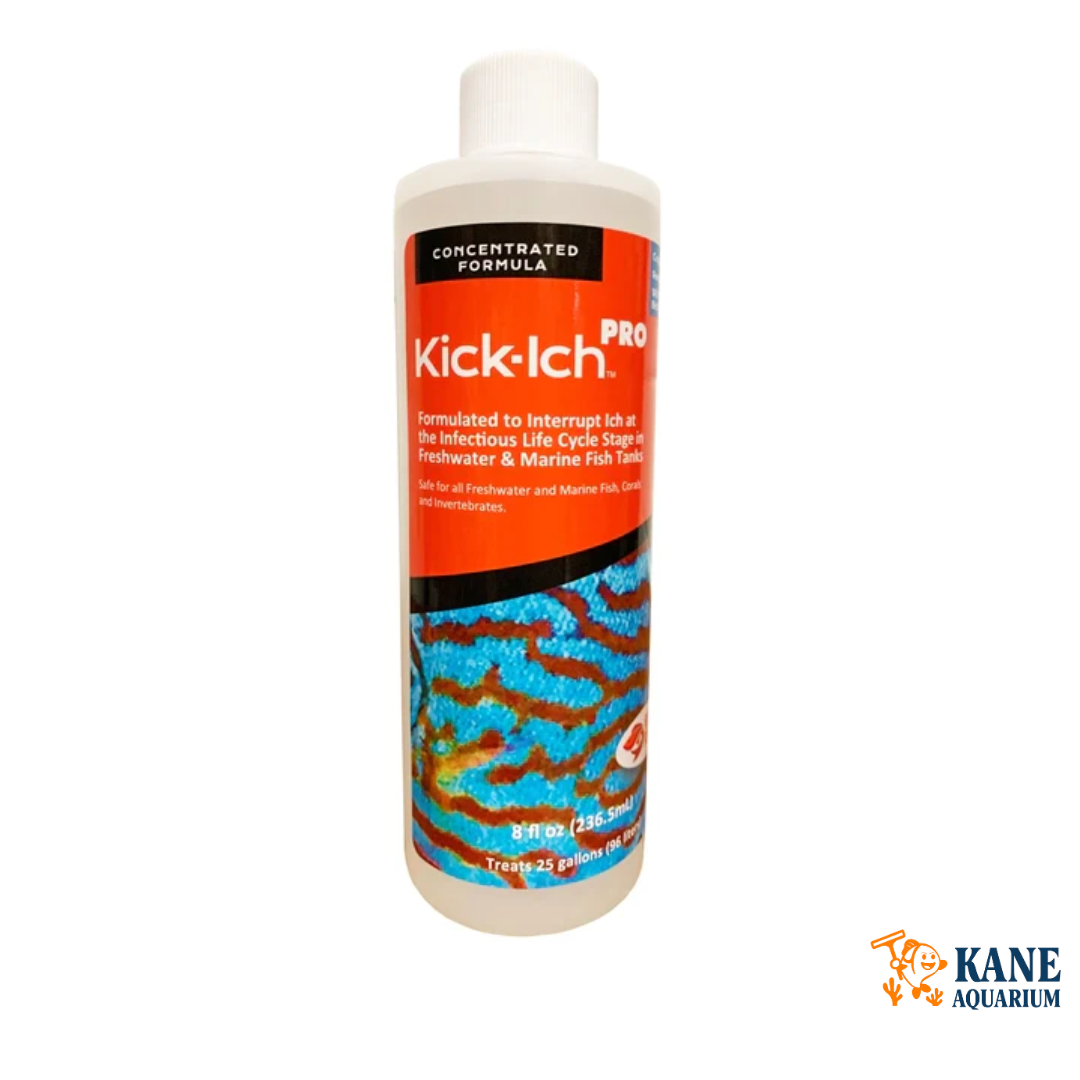 Ruby Reef Kick-Ich Pro