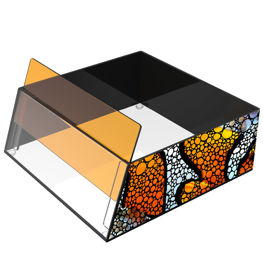 Flipper Top Down Viewer Clownfish