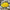 Yellow Angel