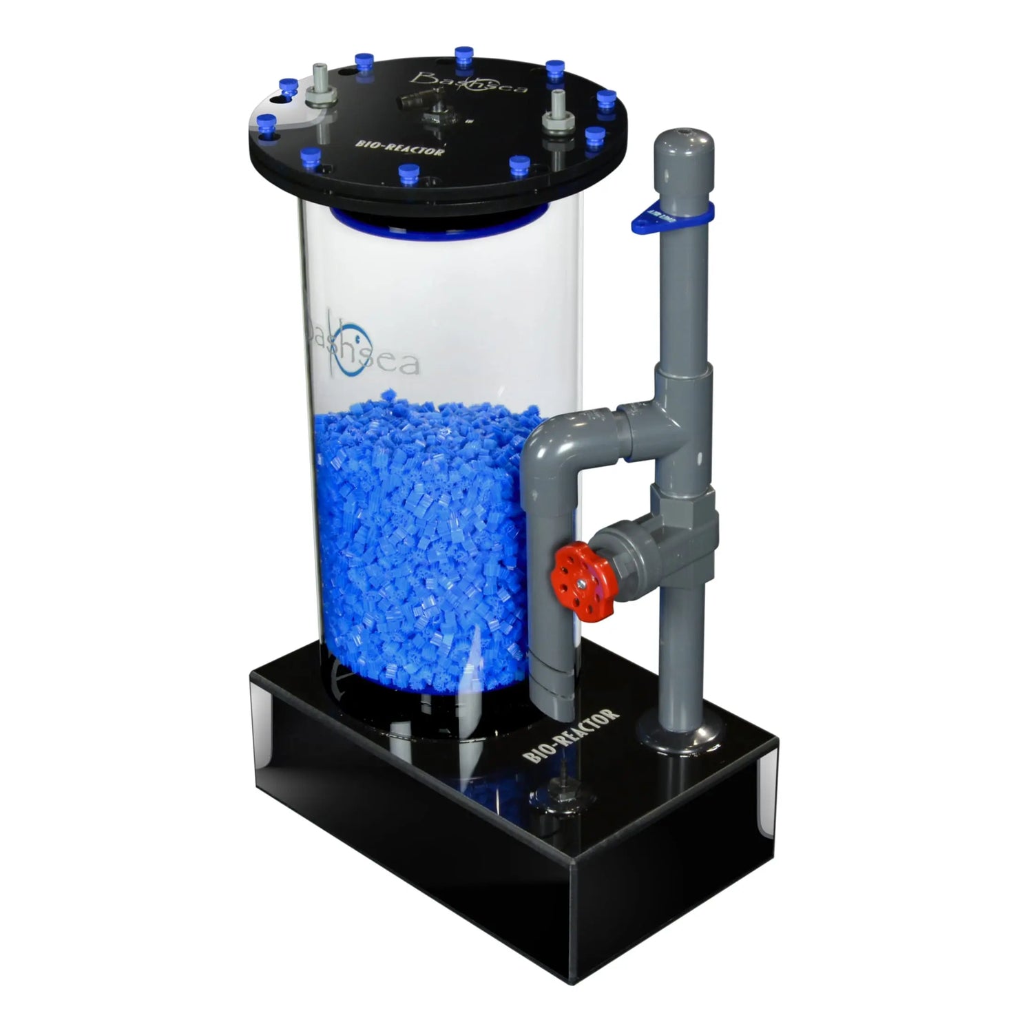 Bashsea Bio Reactor 8-24