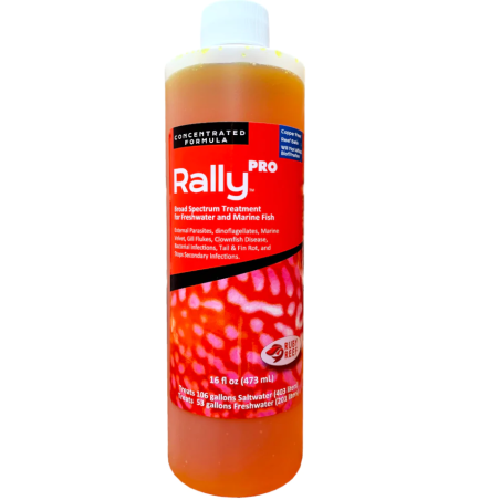 Ruby Reef Rally Pro 16oz