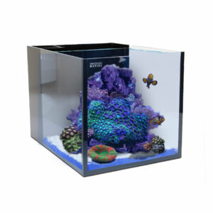 Custom made aquarium and stand